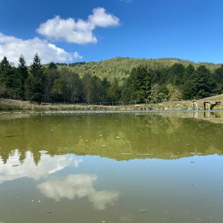 Il Riccio E Il Gufo Hotel Cepletischis Bagian luar foto