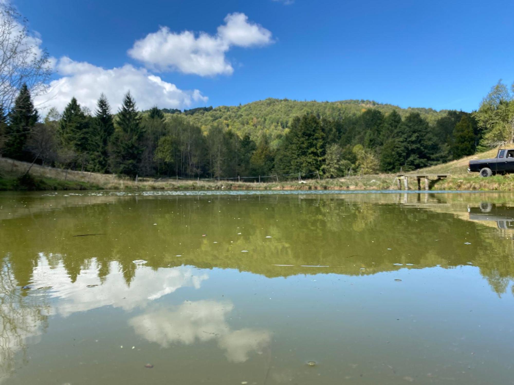 Il Riccio E Il Gufo Hotel Cepletischis Bagian luar foto