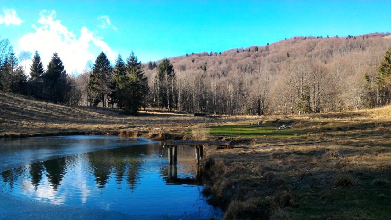 Il Riccio E Il Gufo Hotel Cepletischis Bagian luar foto